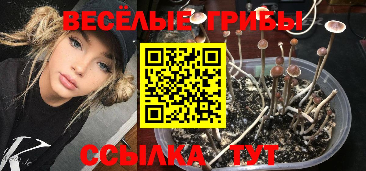 Галлюциногенные грибы Magic Shrooms Сухой Лог
