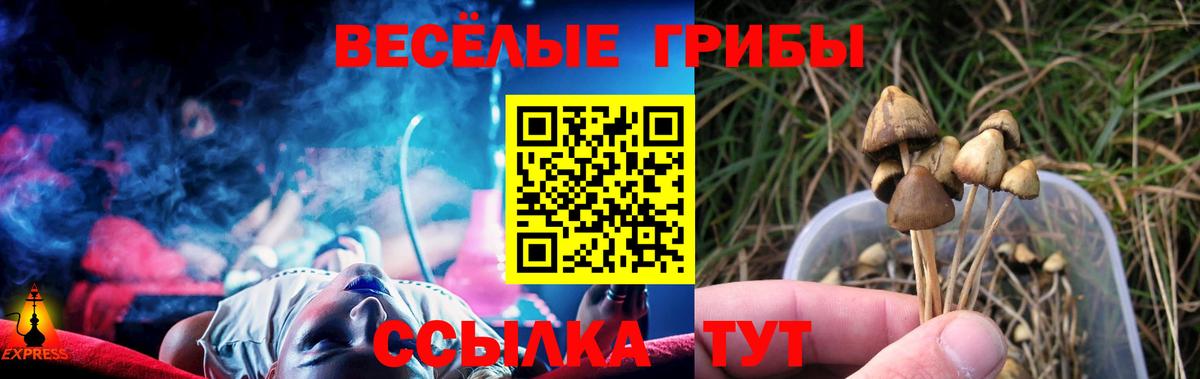 Галлюциногенные грибы GOLDEN TEACHER  Вход с VPN  Сухой Лог  Галлюциногенные грибы Psilocybine cubensis 